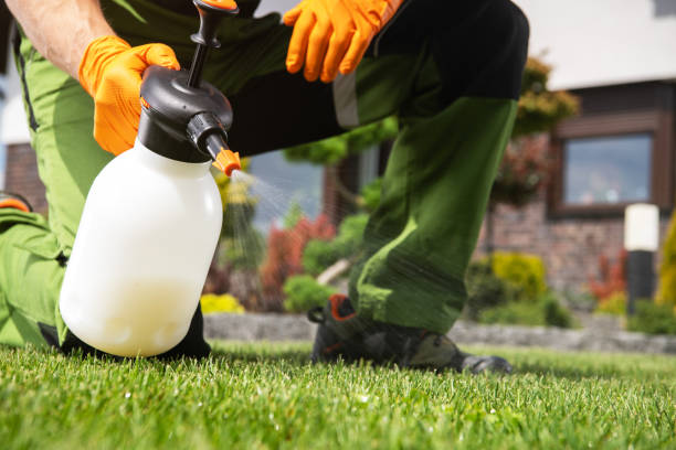 Pest Control Cost in Pierce, CO