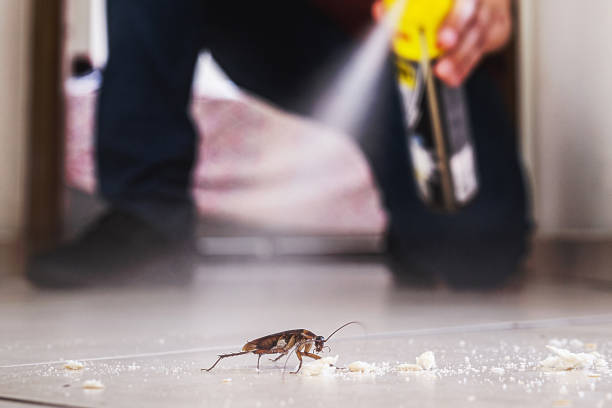  Pierce, CO Pest Control Pros