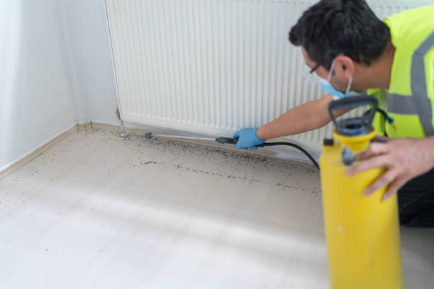 Best Best Pest Control Companies  in Pierce, CO